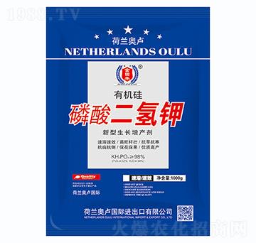 98%�ЙC����������-�����S