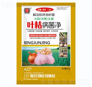 ���������[������-�~�ݲ�����-�����S