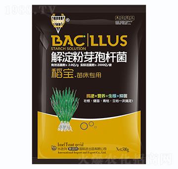 �����ѿ�ߗU��-�������紲����-�����S