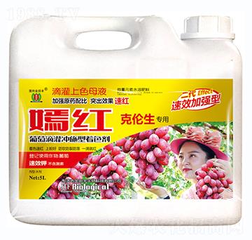 �˂�������-�̼t-�����S