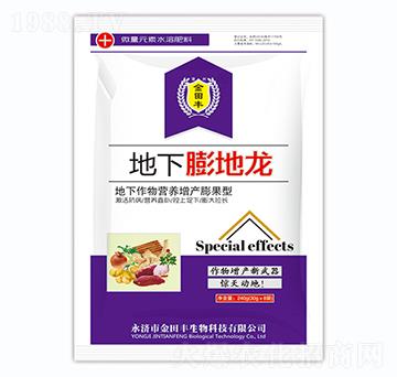 地下膨地龍-金田豐