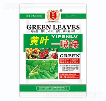 黃葉一噴綠-金田豐