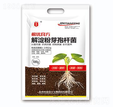 解淀粉芽孢桿菌-根優(yōu)良方-金田豐