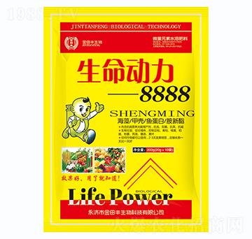 生命動力8888-金田豐