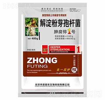 解淀粉芽孢桿菌-腫腐停1號-金田豐