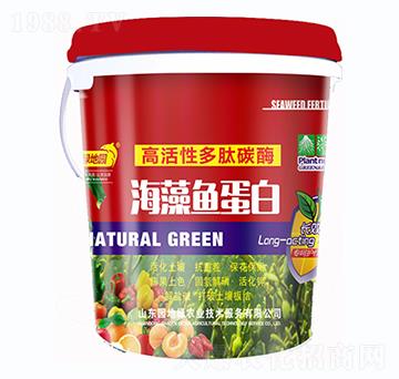 �����~(y��)����-�G�؈@