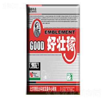 �~�����-�ÉѼ�-�����_