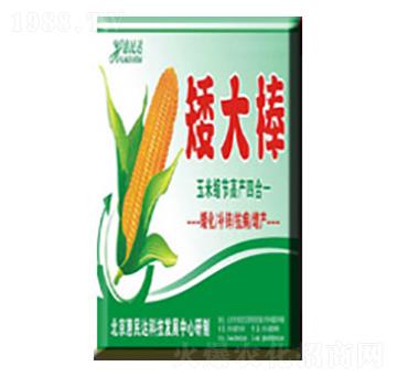 葉面肥料-矮大棒-惠民達