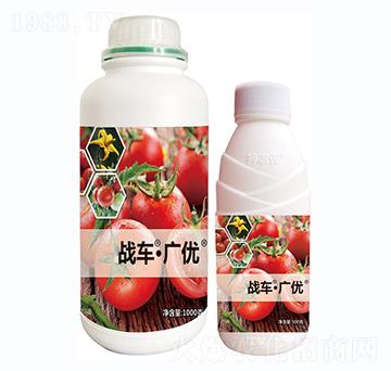 ��(zh��n)܇���V��(y��u)-����-��(zh��n)܇