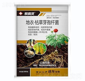 ����.�ݲ�ѿ�ߗU��-�����`-��(zh��n)܇