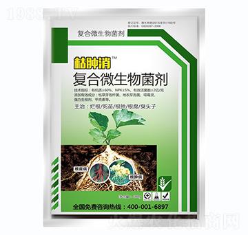 �ͺ�΢�������-���[��-��(zh��n)܇