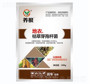 ���¡��ݲ�ѿ�ߗU��-�B(y��ng)��-��(zh��n)܇