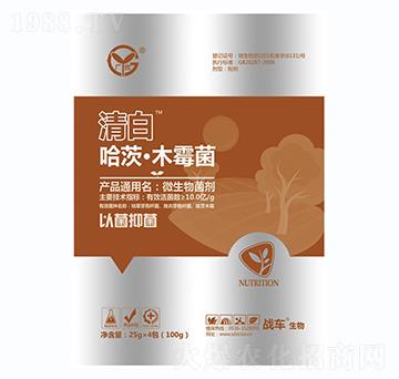 ���ġ�ľù��-���-��(zh��n)܇