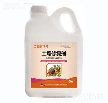 �����ޏ�(f��)��-������2̖(h��o)-��(zh��n)܇