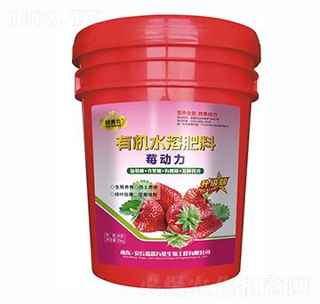 莓動(dòng)力有機(jī)水溶肥料-歐賽克-嘉霖萬基