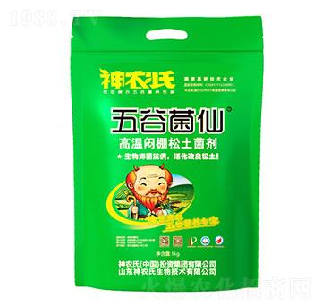 �ߜؐ�����������-��Ⱦ���-���r(n��ng)��