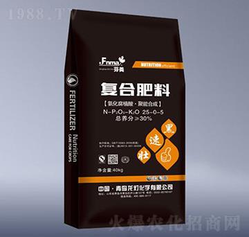 �ͺϷ���25-0-5-����-����