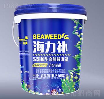 �����a�ԭ���B(t��i)ø�⺣��-����-����