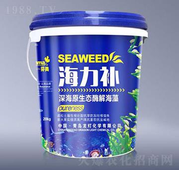 �ԭ���B(t��i)ø�⺣��-�����a(b��)-����