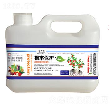 根本保護-康普生