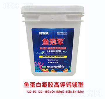 魚蛋白凝膠高鉀鈣鎂型大量元素水溶肥料120-80-120-15CaO+4MgO+5（B+Zn+Mn）-神農(nóng)氏