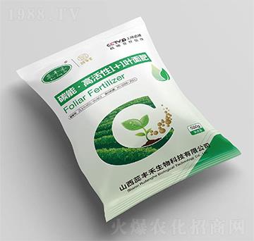 ̼�ܡ��߻���1+1�~���-���S��