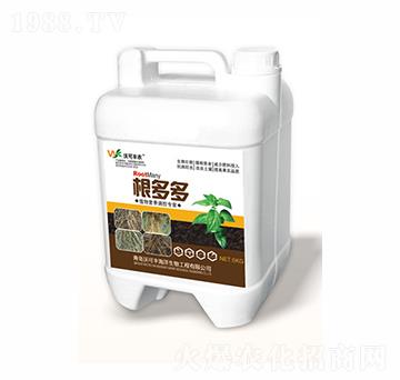 �����-�ֿ��S