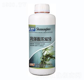 �������sҺ-��(zh��n)܇