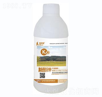 �Ǵ��-��(zh��n)܇(ch��)