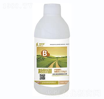 �Ǵ���-��(zh��n)܇(ch��)