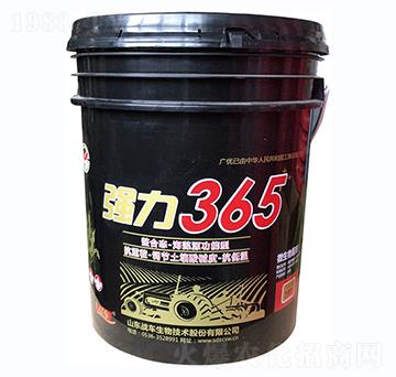 ����365-��(zh��n)܇