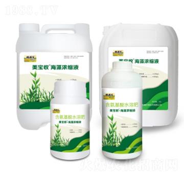 海藻濃縮液-美寶收-滿穗生物