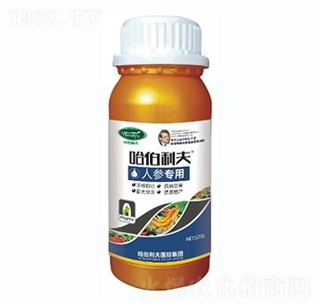 �˅���(zhu��n)��-��������