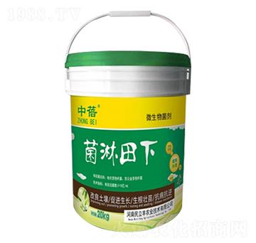 微生物菌劑-菌淋田下-民立豐