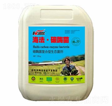 ̼ø��-������