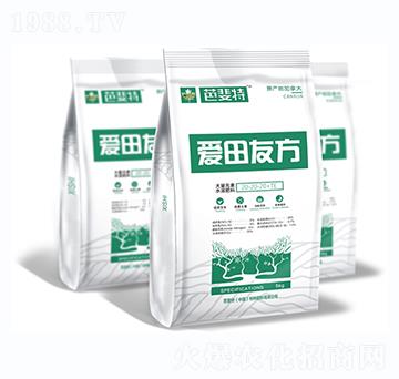 5kgƽ���ʹ���Ԫ��ˮ�ܷ���-��(��i)���ѷ�-�����