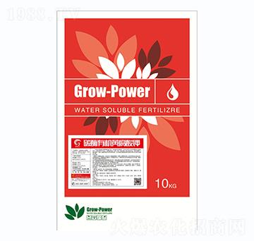 ̼ø�ЙC�S����-��ȶ�