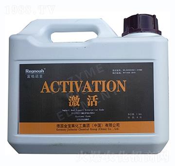 雷格諾亞·激活-金谷丁