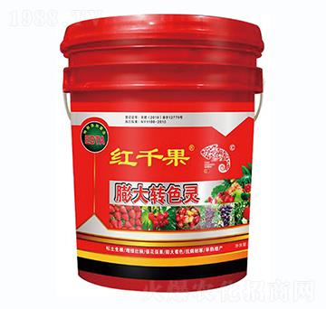 膨大轉(zhuǎn)色靈-紅千果-蔬美特