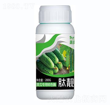 黃瓜專用轉色酶-肽靚素-蔬美特
