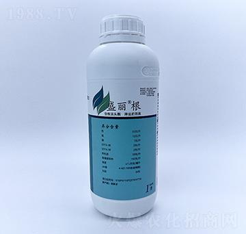 1L盛麗根-自然地