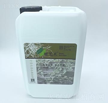 根藝術(shù)-自然地