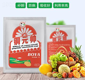 銅元帥-中農國化