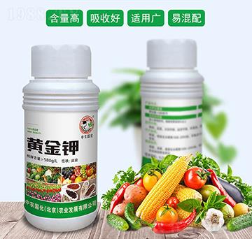 黃金鉀-中農國化