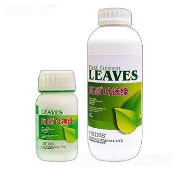 望盈葉速綠-英國(guó)普林斯