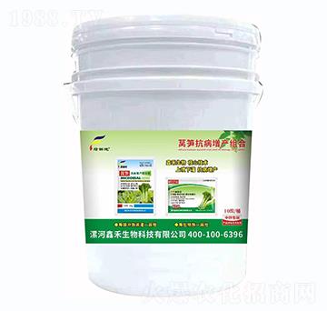 �n�S�������a(ch��n)�M��-�G��