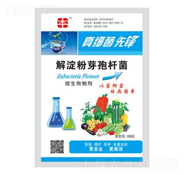 解淀粉芽孢桿菌-真細菌先鋒-豐本生物