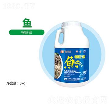 根管家-豐本生物