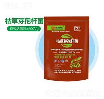 枯草芽孢桿菌-豐本生物