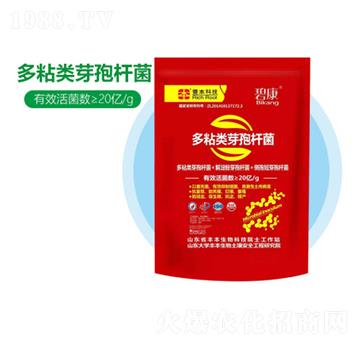 多粘類芽孢桿菌-豐本生物